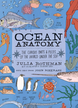 Julia Rothman - Ocean Anatomy: The Curious Parts & Pieces of the World Under the Sea