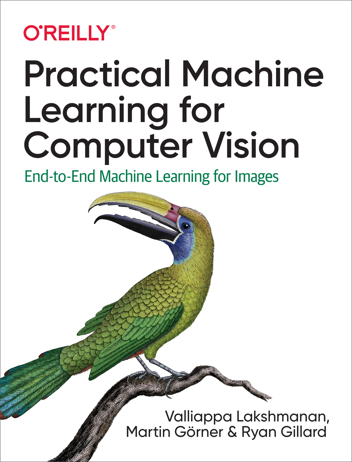 Practical Machine Learning for Computer Vision by Valliappa Lakshmanan Martin - photo 1