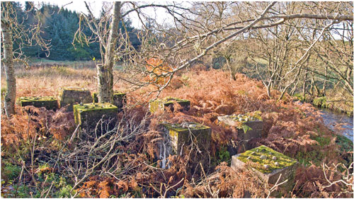 Britains Last Frontier A Journey Along the Highland Line - photo 14