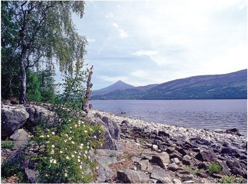 Britains Last Frontier A Journey Along the Highland Line - photo 20