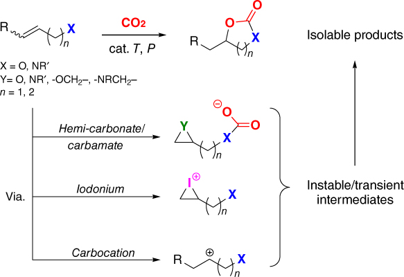 Different approaches to arrive at cyclic carbonates using functional - photo 4