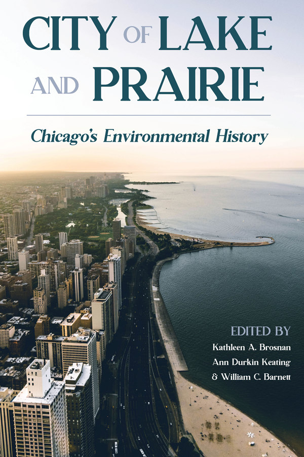 HISTORY OF THE URBAN ENVIRONMENT Martin V Melosi and Joel A Tarr Editors - photo 1