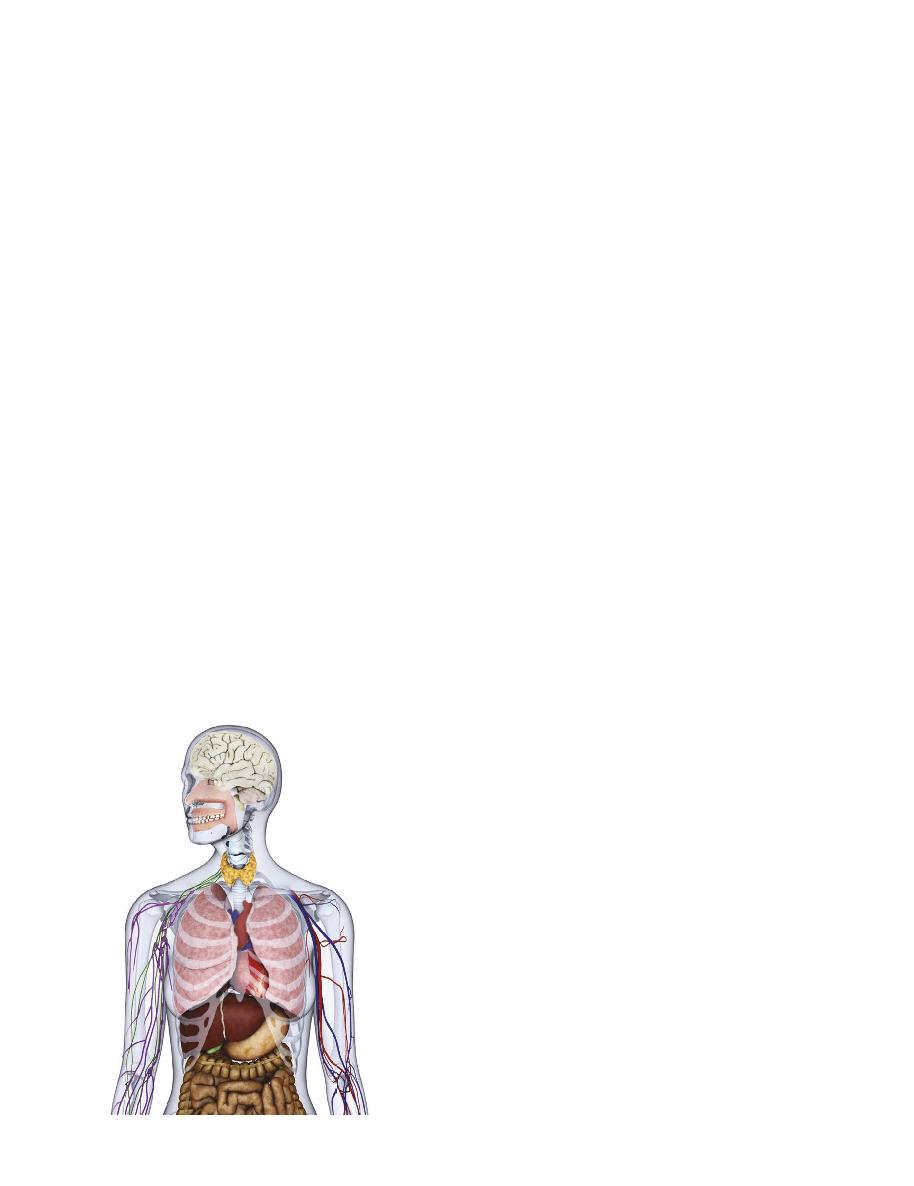 004-007Contentsindd 7 03052019 1043 INTEGRATED BODY THE HUMAN BODY IS - photo 9