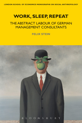 Felix Stein Work, Sleep, Repeat: The Abstract Labour of German Management Consultants