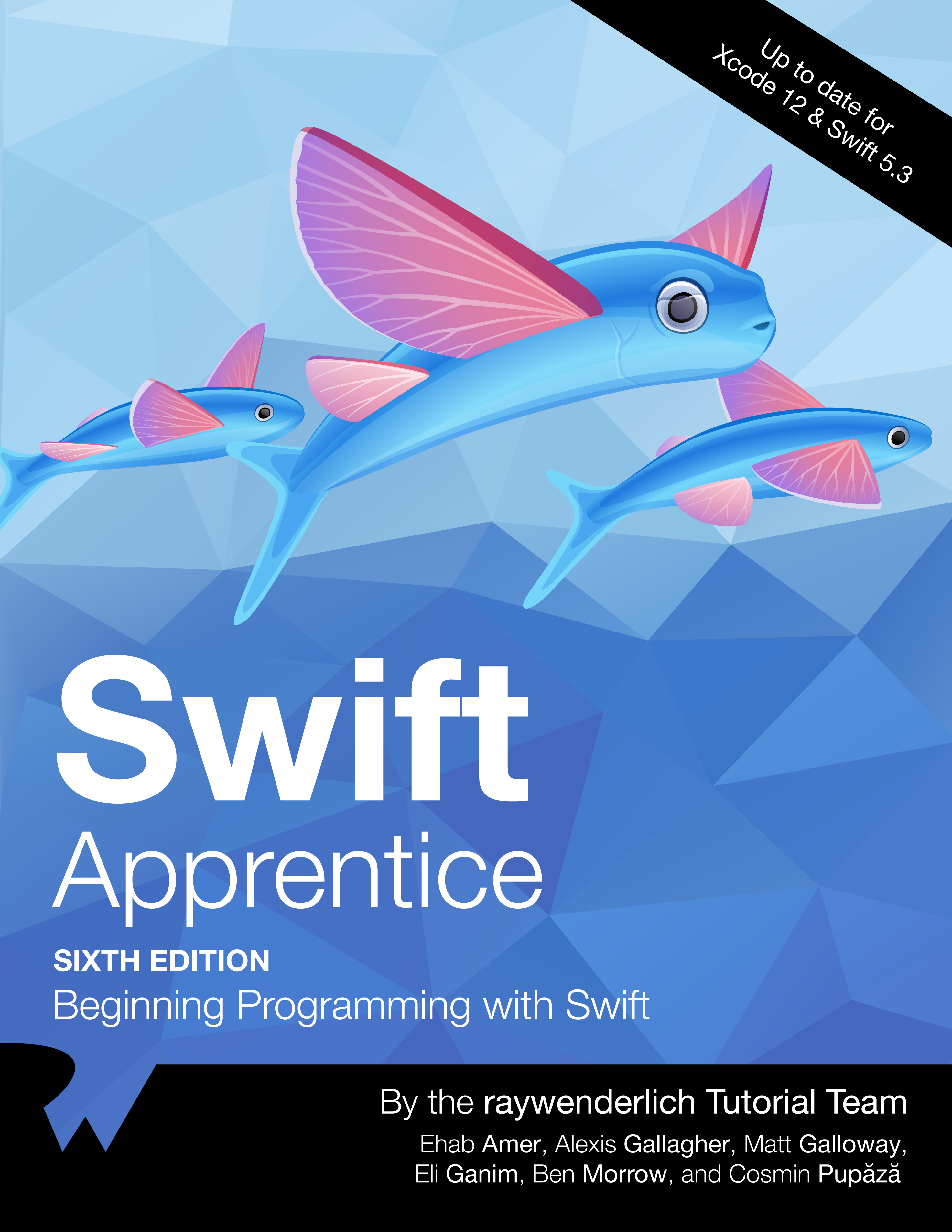 Swift Apprentice Sixth Edition By the raywenderlich Tutorial Team Ehab Amer - photo 1