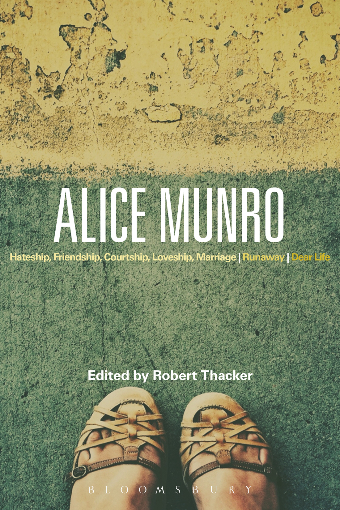 Alice Munro BLOOMSBURY STUDIES IN CONTEMPORARY NORTH AMERICAN FICTION Series - photo 1