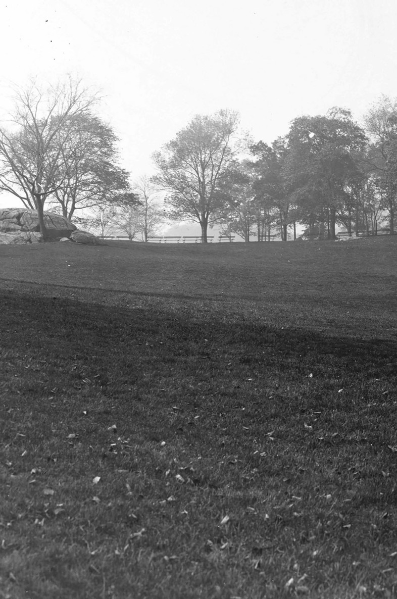 Detail of Sheep Meadow looking southwest Central Park circa 1905 Source - photo 2