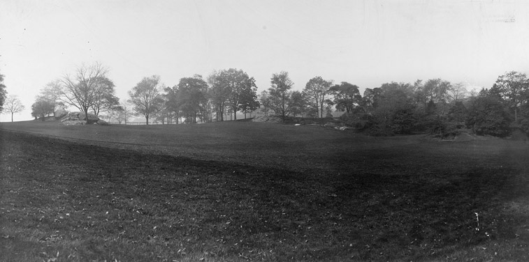 Sheep Meadow looking southwest Central Park circa 1905 Source Photograph - photo 3