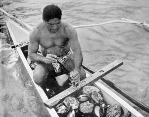 Bounty of the sea giant clams and oysters abound in the waters off the - photo 6