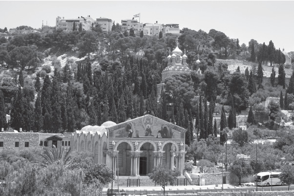 Mount of Olives Mount of Olives Jerusalem today Site of the Garden of - photo 12