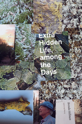 Brenda Hillman Extra Hidden Life, Among the Days