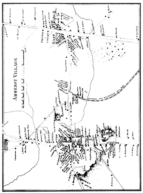 The Dickinson Family Tree IN ORDER OF APPEARANCE WILLIAM AUSTIN DI - photo 3