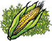 Corn A Global History Edible - image 4