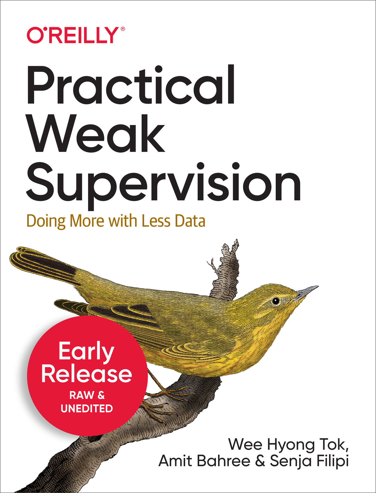 Practical Weak Supervision by Wee Hyong Tok Amit Bahree and Senja Filipi - photo 1