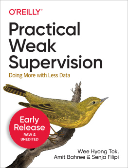 Russell Jurney - Practical Weak Supervision: Doing More with Less Data - Early Unedited Release