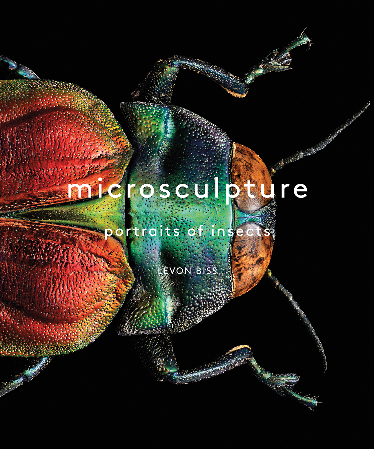 Microsculpture portraits of insects - photo 1