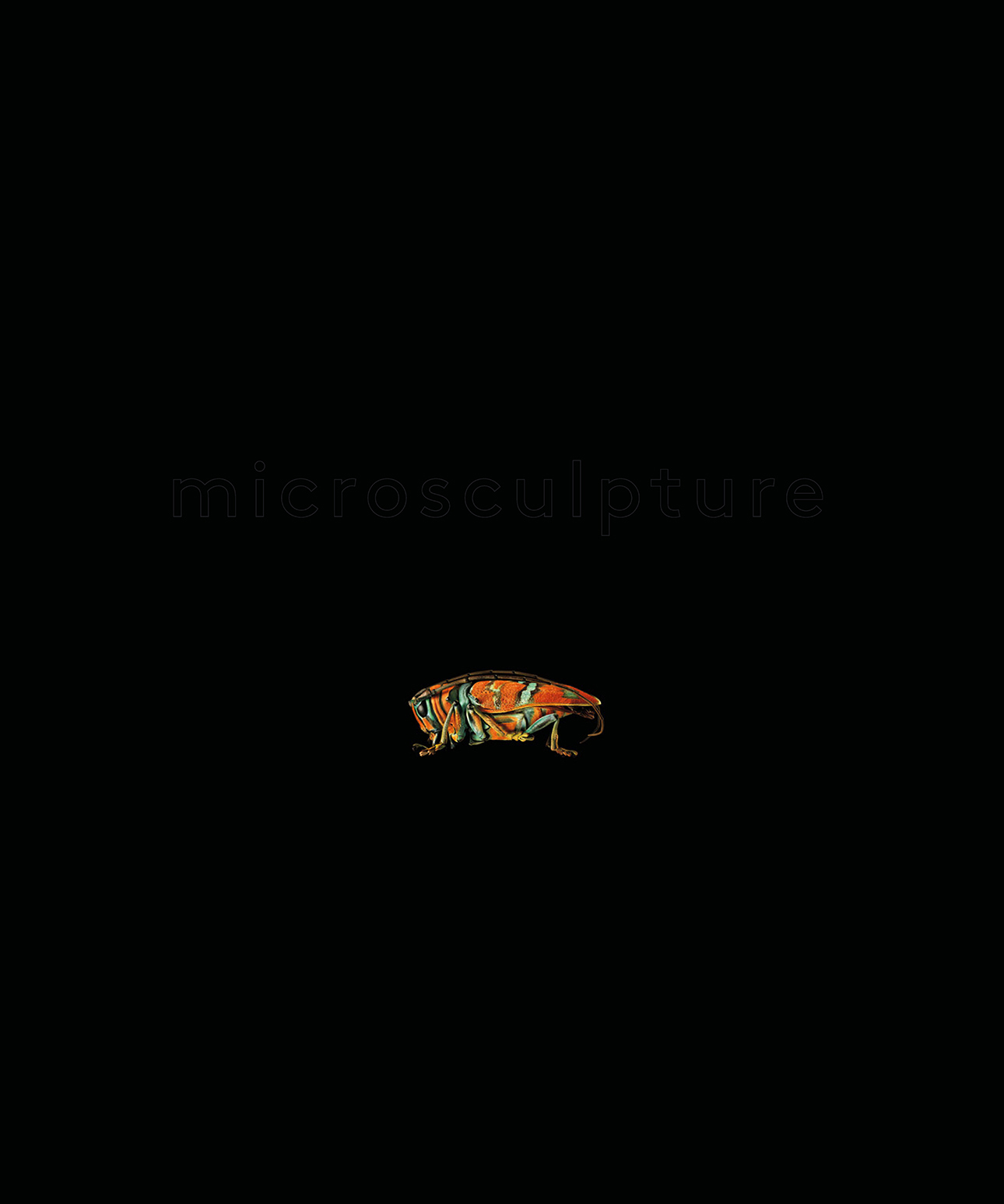 microsculpture microsculpture portraits of insects LEVON BISS from the - photo 7