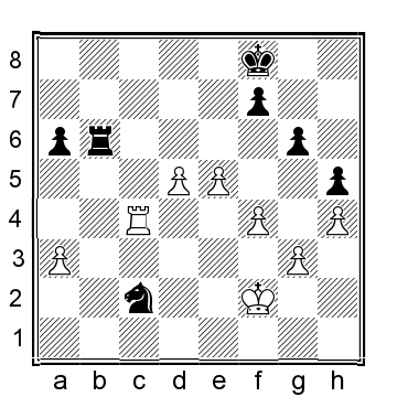 Position after 48 R c4 White has the strong passed pawn and thats enough to - photo 12