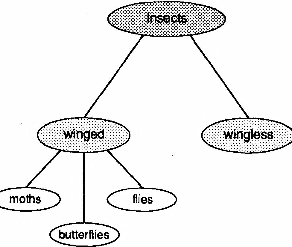 Within the category insect for example there are two divisions insects with - photo 4