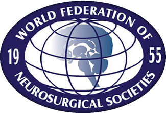 Logo of the publisher Editors Fernando Guedes WFNS Peripheral Nerve - photo 3