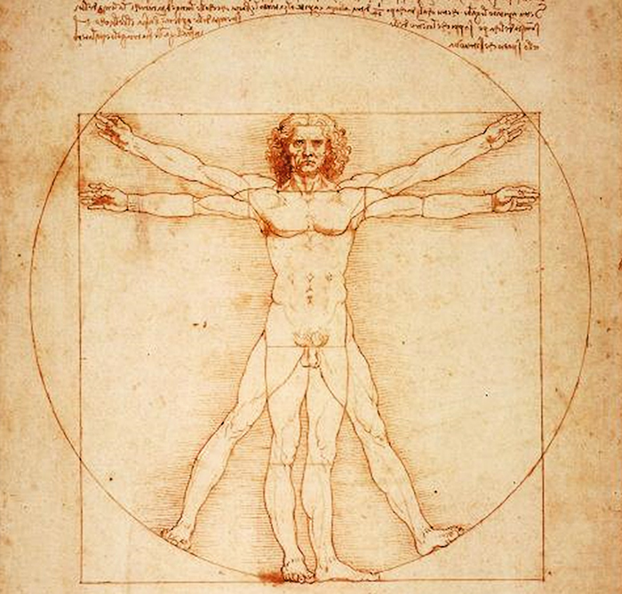 Vitruvian Man by Da Vinci Symmetry is a ubiquitous concept in mathematics and - photo 3