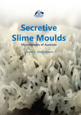 Steven Stephenson - Secretive Slime Moulds: Myxomycetes of Australia
