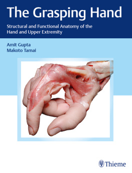 Amit Gupta The Grasping Hand: Structural and Functional Anatomy of the Hand and Upper Extremity