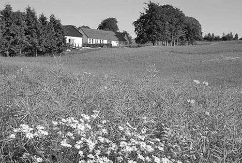 In contrast to the rest of Scandinavia much of Denmark is arable The - photo 12