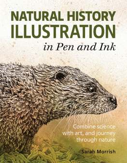 Sarah Morrish - Natural History Illustration in Pen and Ink