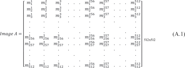 Equation shows a generic 512 512 input image in the form of a matrix A - photo 1