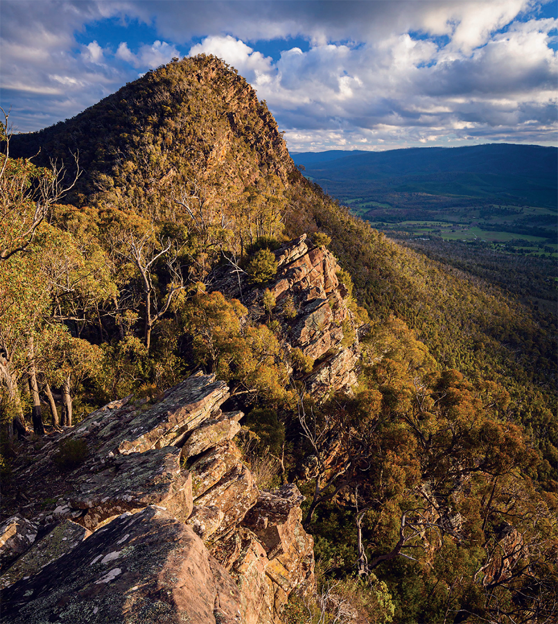 Over thousands of years nature has provided the resources that have helped - photo 3