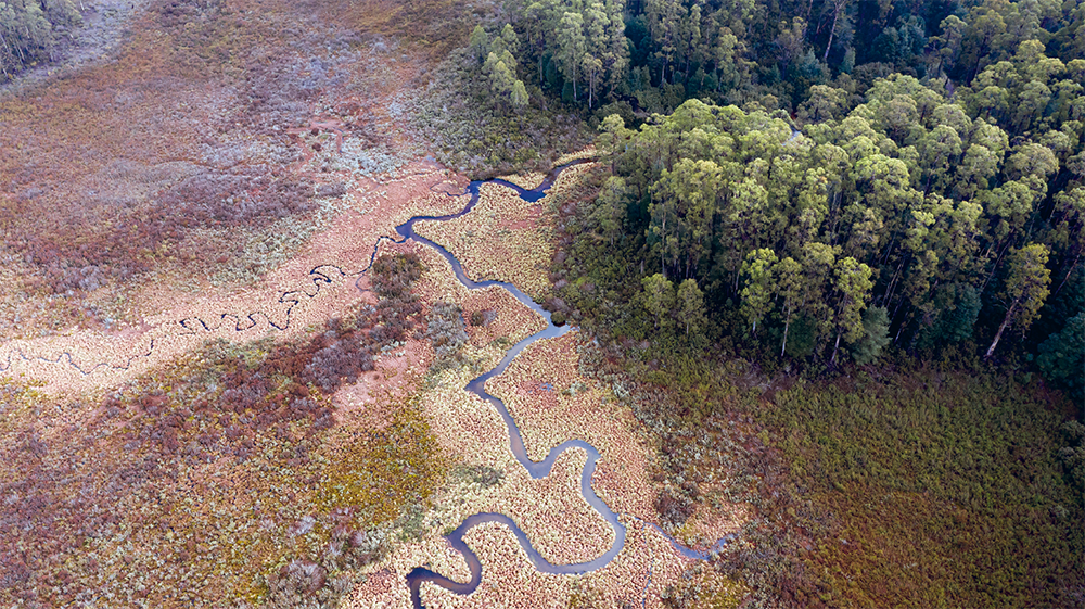 Over thousands of years nature has provided the resources that have helped - photo 5