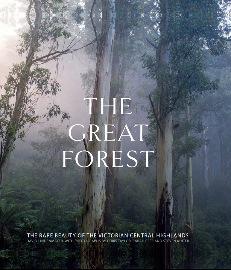 With its glorious photographs The Great Forest shows why these forests must be - photo 1