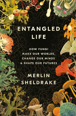 Merlin Sheldrake - Entangled Life: How Fungi Make Our Worlds, Change Our Minds & Shape Our Futures