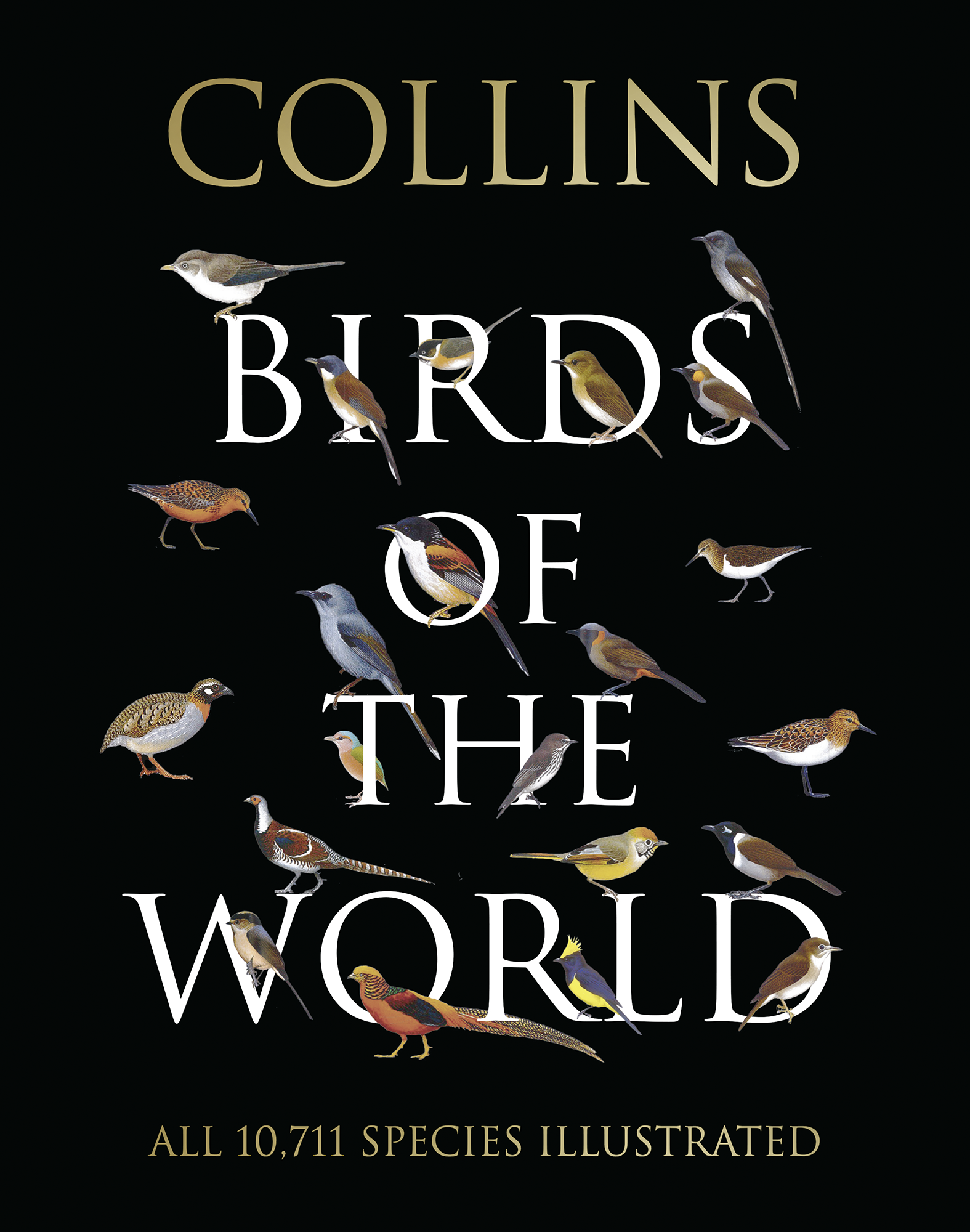 William Collins An imprint of HarperCollins - photo 1