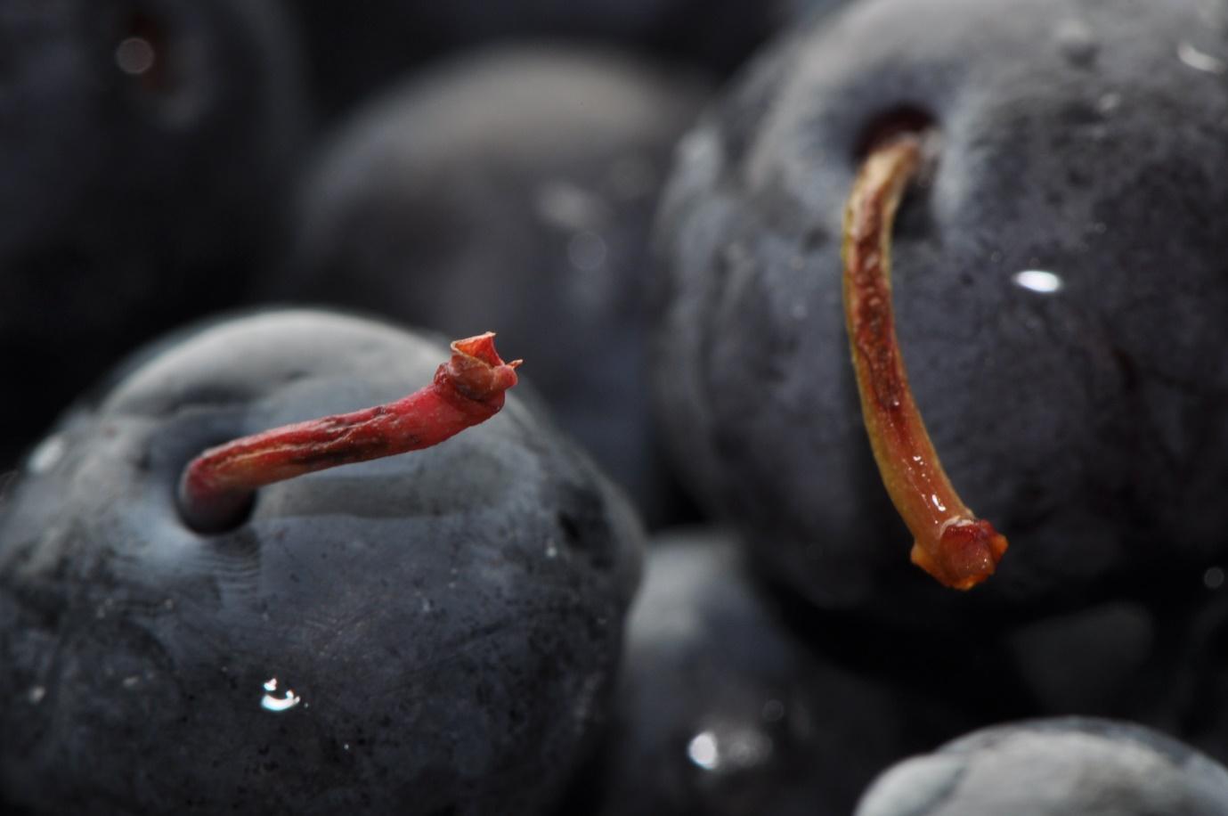 This incredible smoothie combines the flavours of apples and blueberries to - photo 8