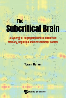 Yoram Baram - The Subcritical Brain: A Synergy of Segregated Neural Circuits in Memory, Cognition and Sensorimotor Control