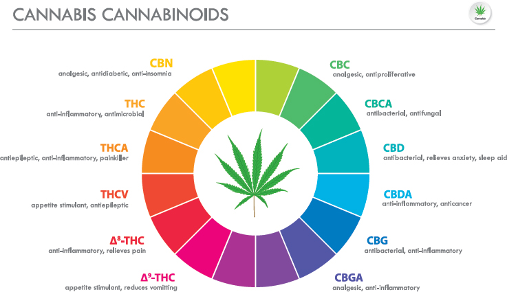 As the medical benefits of cannabis have become more established parts of the - photo 4