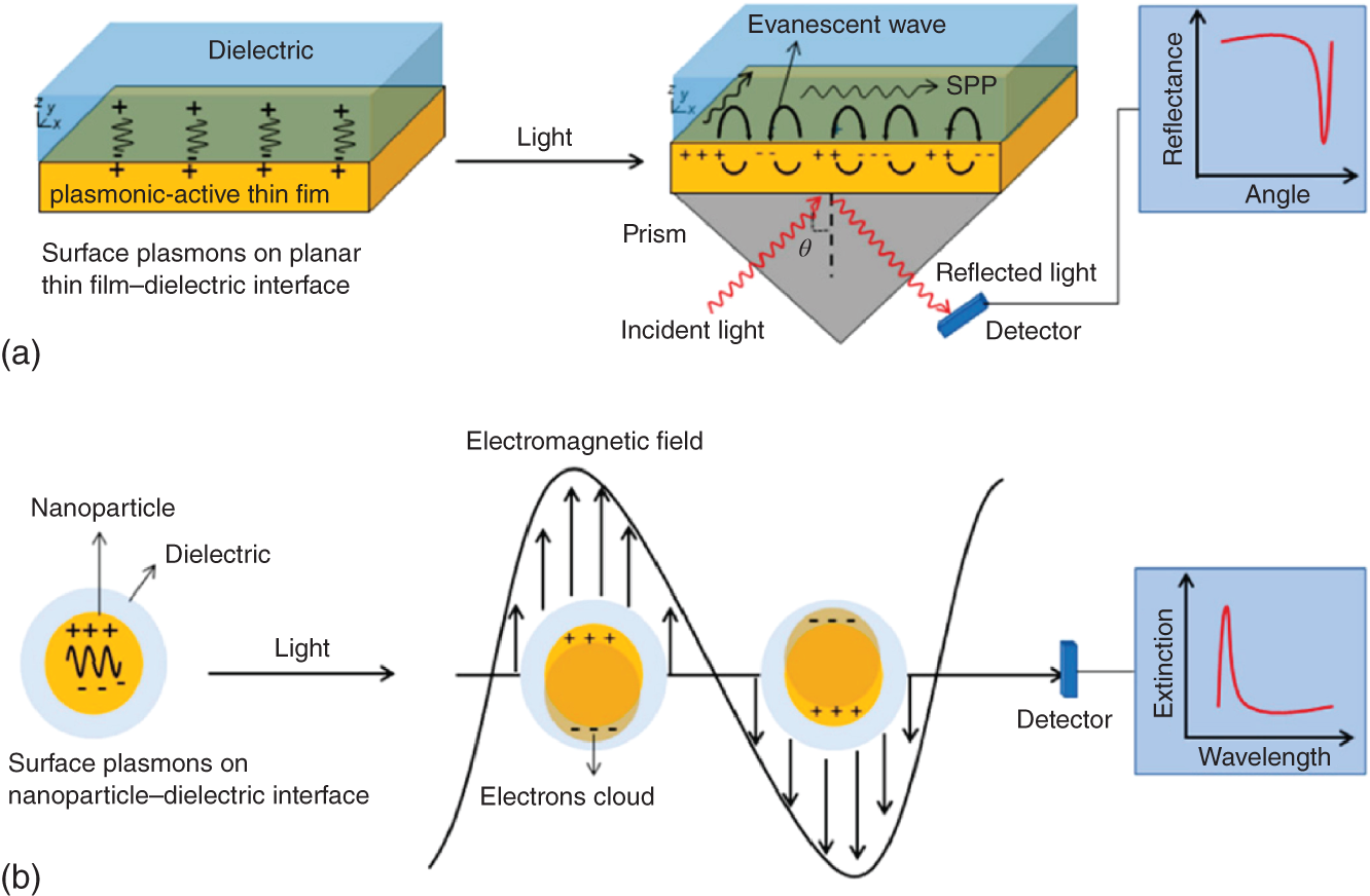 a SPP propagation is illustrated through thin film with the surface charges - photo 3