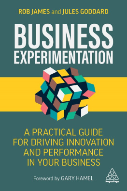 Rob James - Business Experimentation: A Practical Guide for Driving Innovation and Performance in Your Business