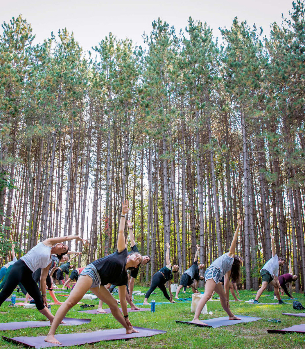 Yogis enjoy a midday flow among the tall trees at Camp Walden in Ontario - photo 5