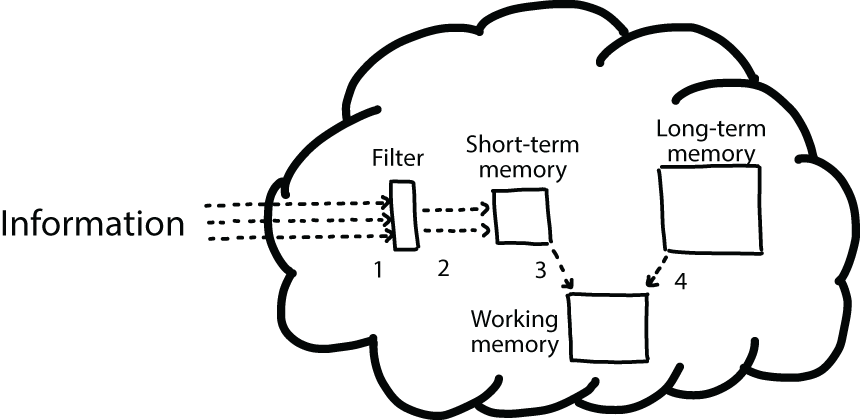 An overview of the three cognitive processes that this book covers STM LTM - photo 1