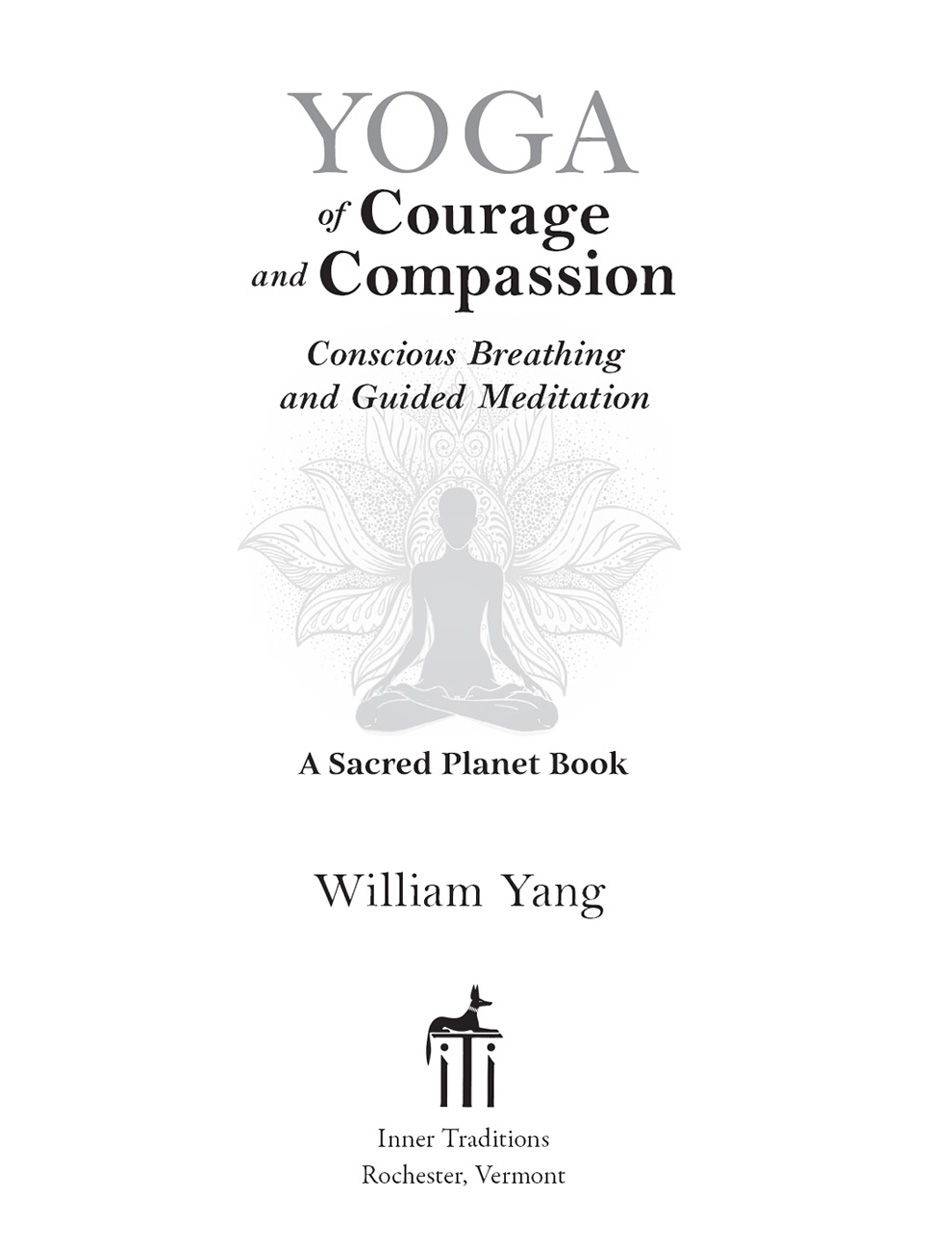 Yoga of Courage and Compassion - image 2