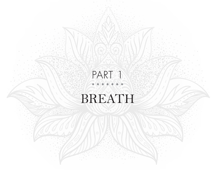 Breathing Out Letting Yourself Go A yoga of courage and compassion is not a - photo 4