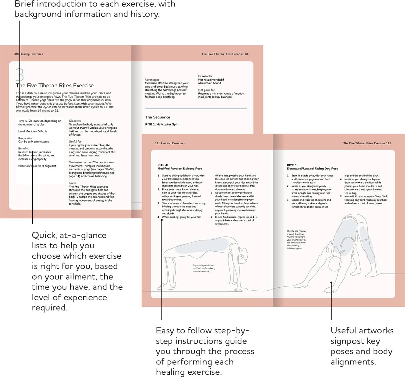 GLOSSARY A Glossary at the back of the book provides a helpful reference of - photo 7