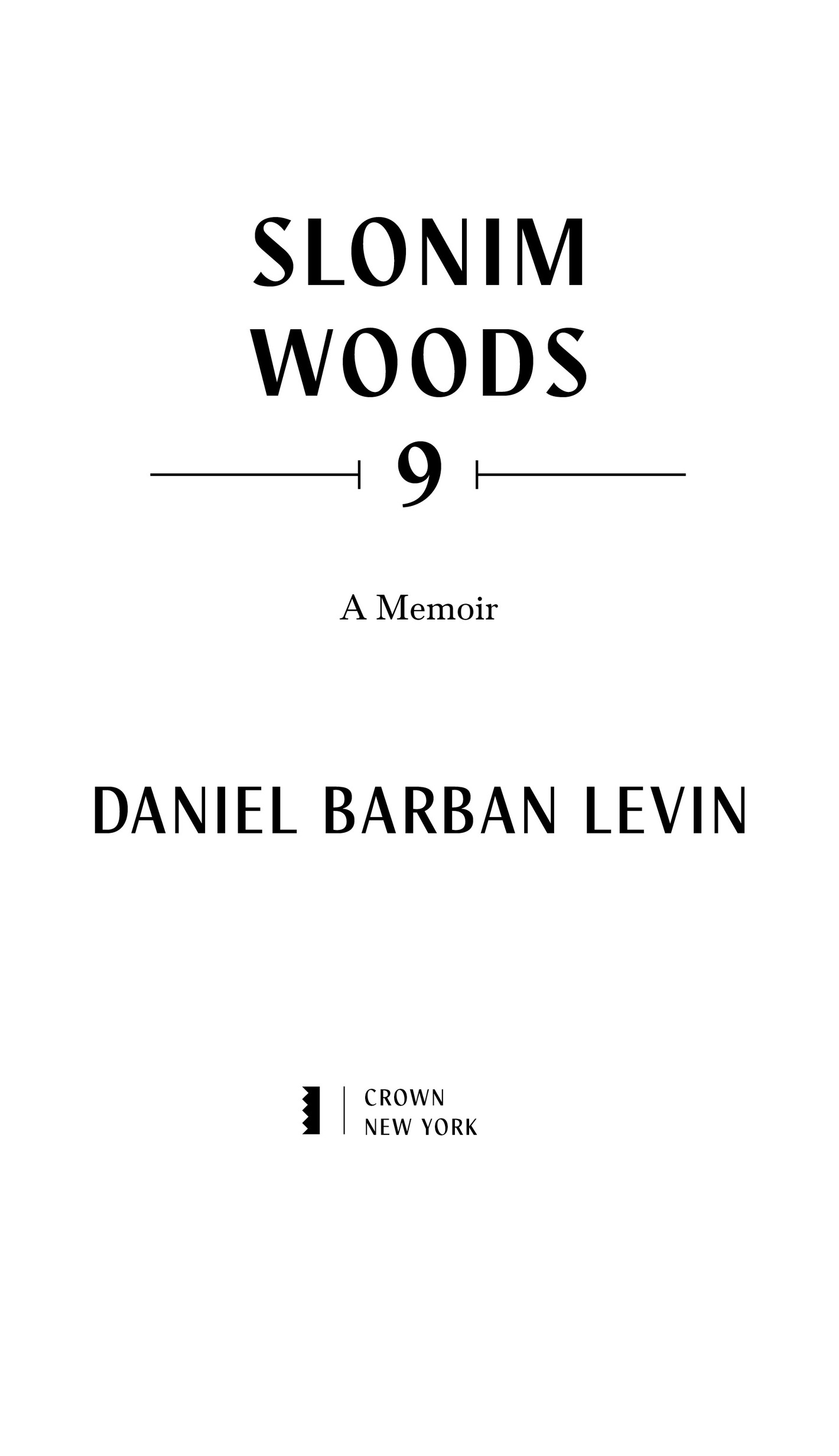 Copyright 2021 by Daniel Barban Levin All rights reserved Published in the - photo 2