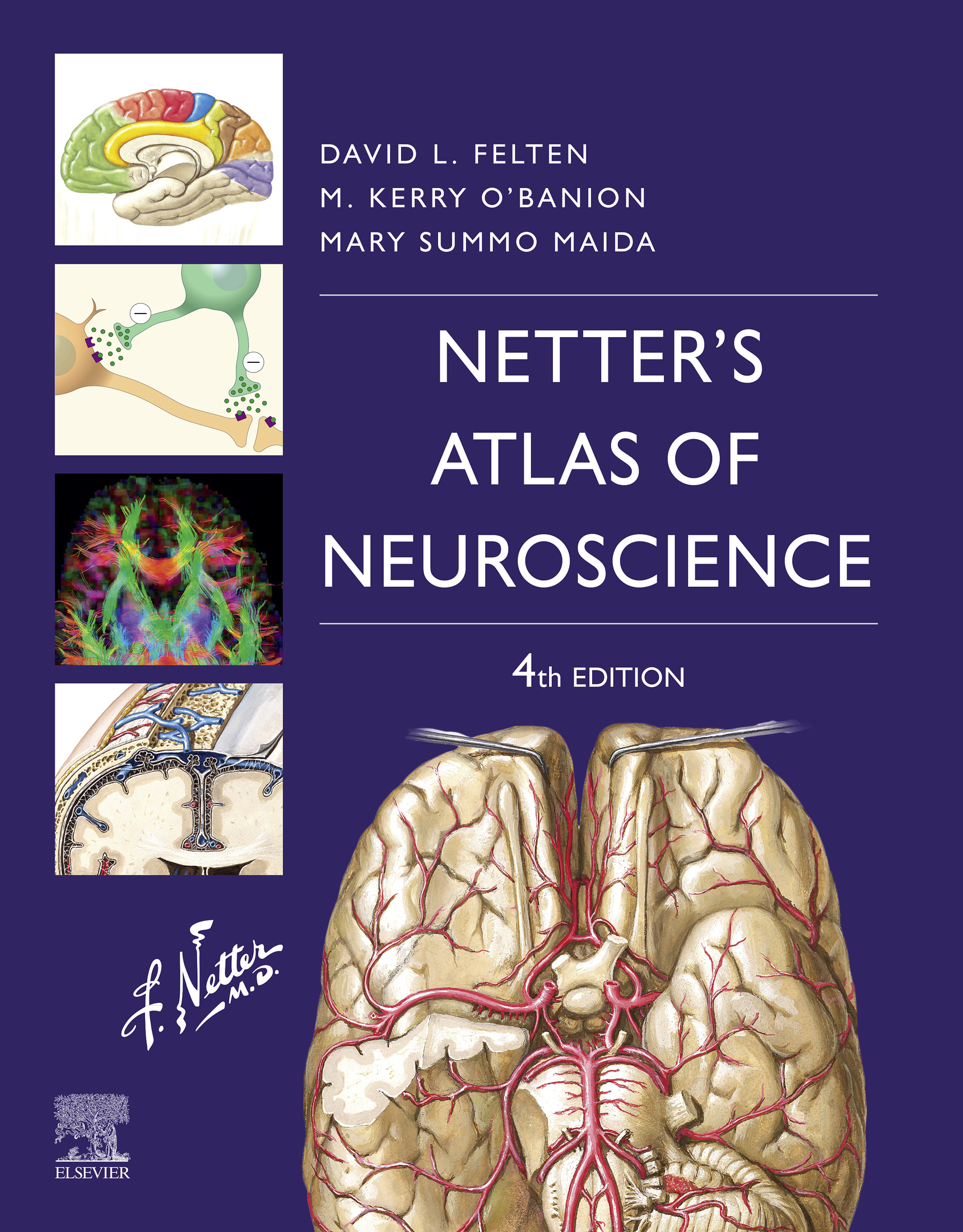 Netters Atlas of Neuroscience Fourth Edition David L Felten MD PhD - photo 1