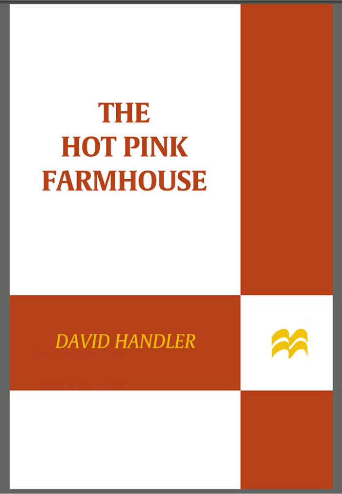 PRAISE FOR DAVID HANDLERS MYSTERIES THE HOT PINK FARMHOUSE The authors skill - photo 1