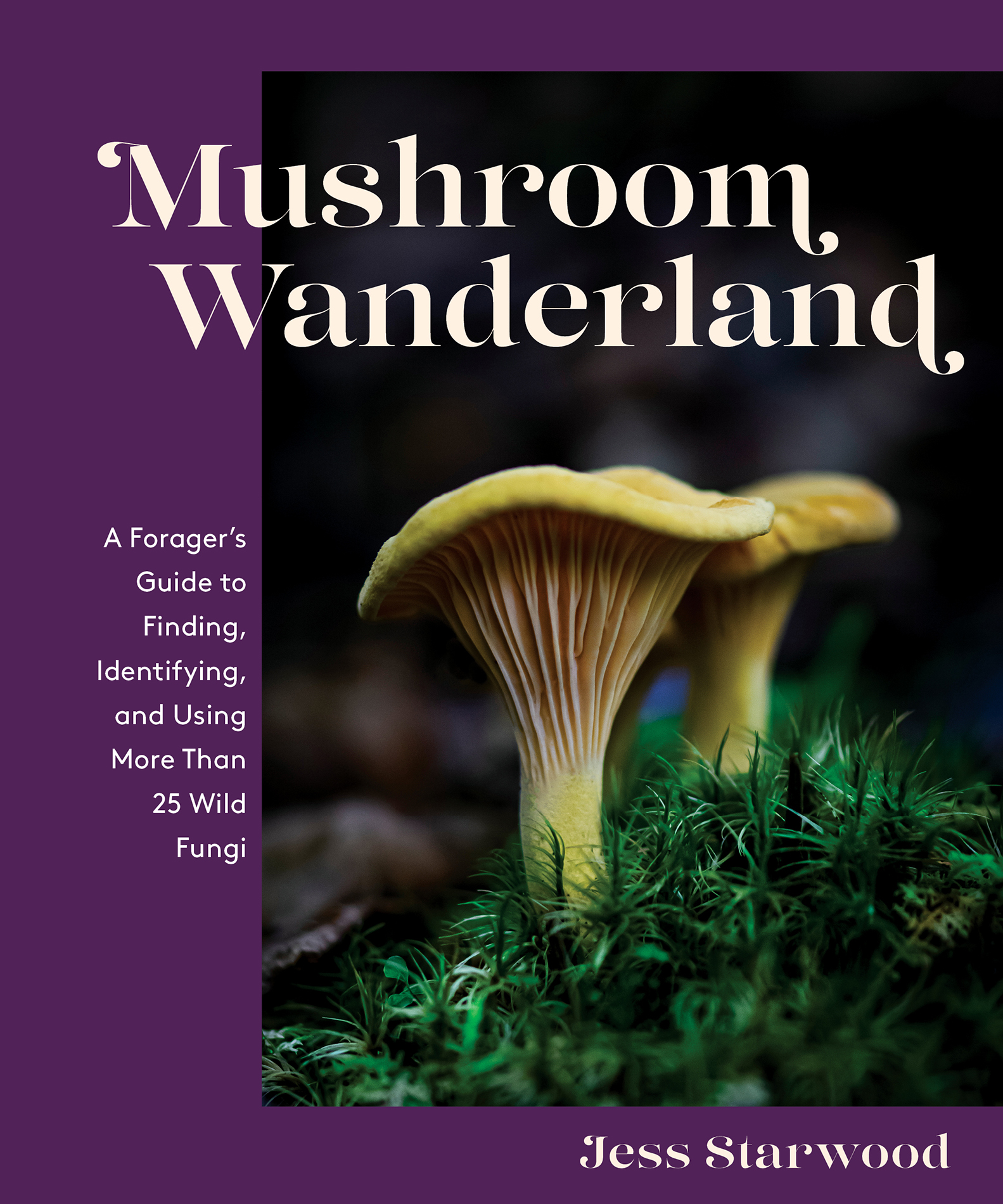 Mushroom Wanderland Mushroom Wanderland A Foragers Guide to Finding - photo 1