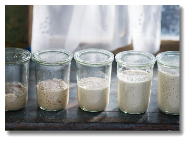The First Six Days To make a sourdough starter you will mix flour and water - photo 3